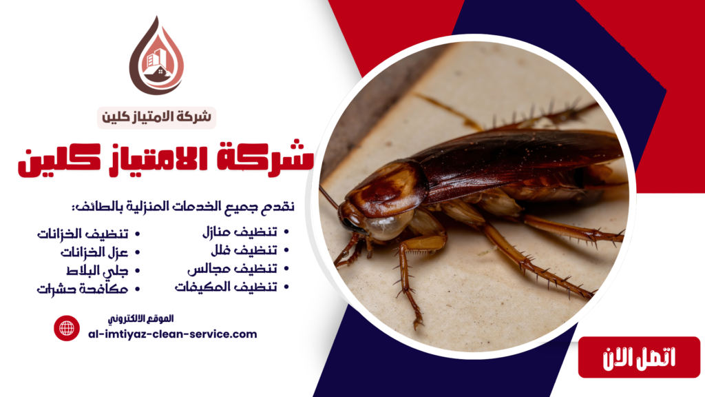 شركة مكافحة الصراصير بالطائف | حلول احترافية للقضاء النهائي على الصراصير